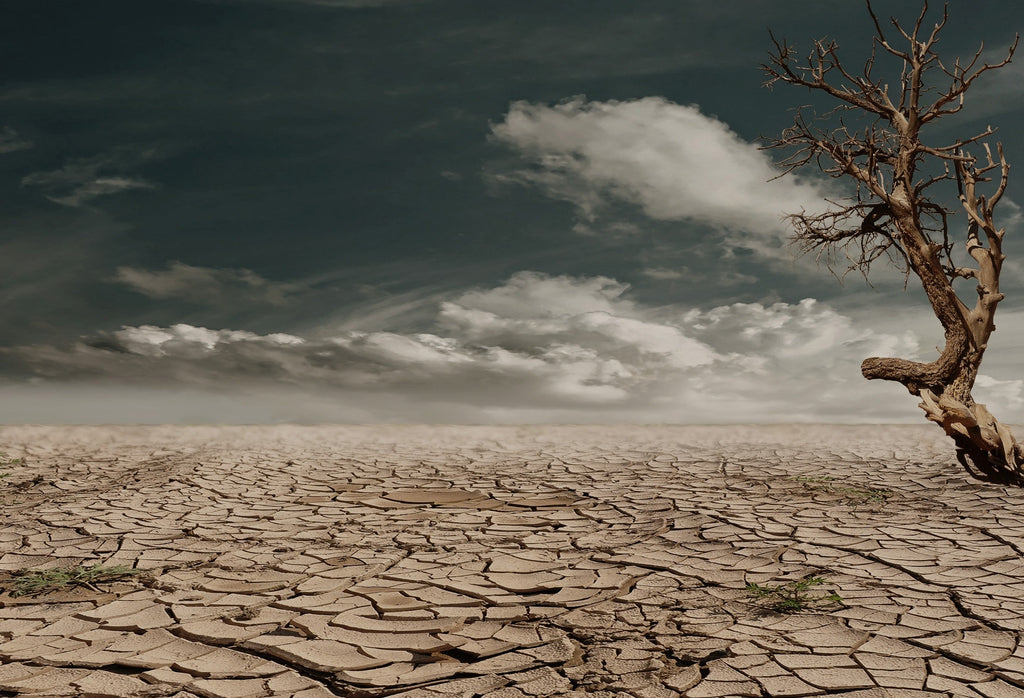 how is climate change affecting people